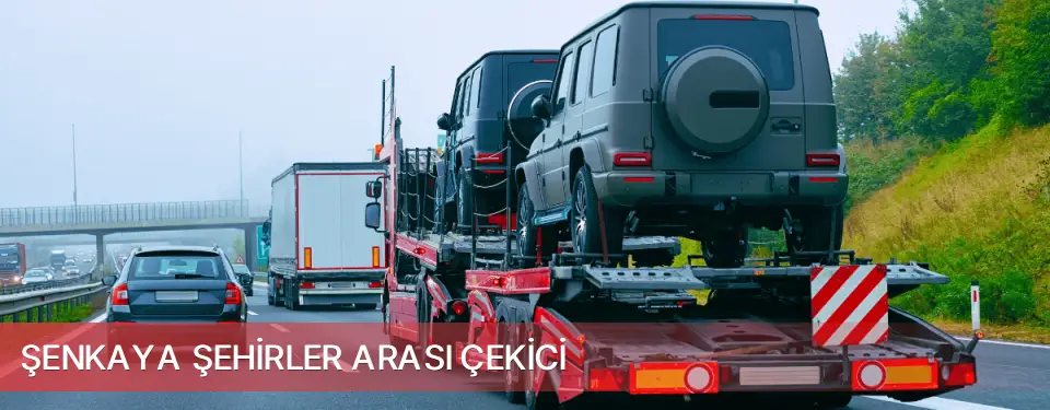 Şenkaya İlçemi Şehirler Arası Çekici