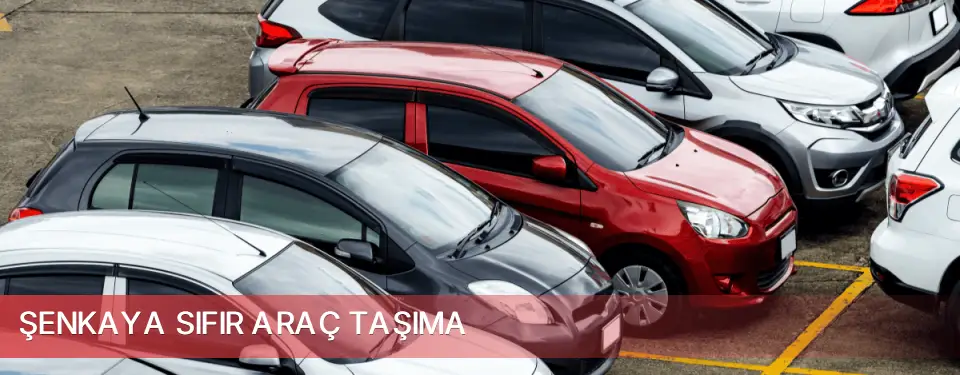 Şenkaya İlçemi Sıfır Araç Taşıma